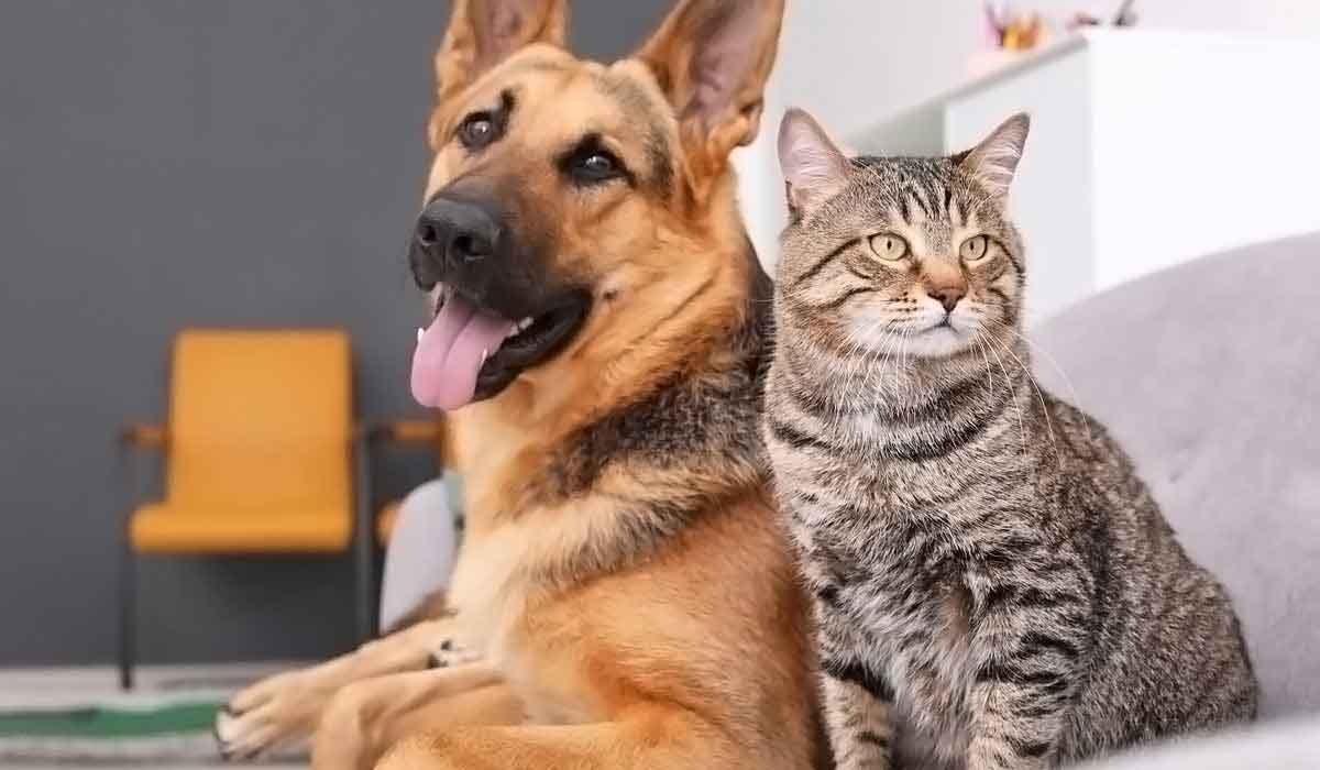 怎么去攻击一个网站与防护