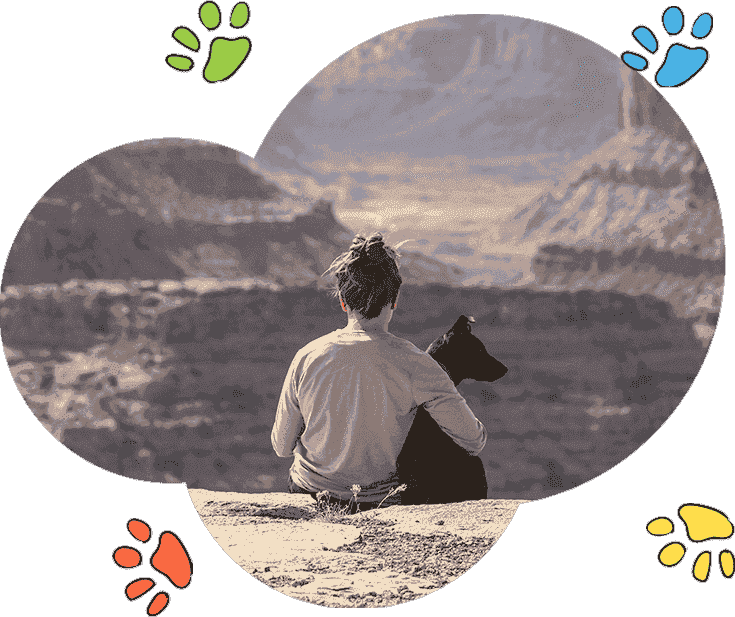 免费ddos在线攻击